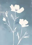 Schilderij van witte bloemen in minimalistische stijl