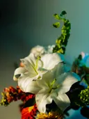 Witte lelies omringd door kleurrijke bloemen in een boeket.
