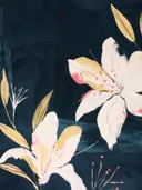 Schilderij van witte lelies op donkere achtergrond, botanische illustratie