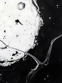 Witte maanvorm met takken, abstract schilderij
