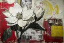 Witte magnoliabloem op rood-crème achtergrond met gele graffiti tekst