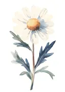 Aquarel van een witte margriet