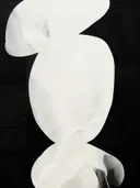 Abstract schilderij met een organische witte vorm op een zwarte achtergrond.