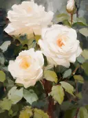 Witte rozen in bloei tussen groene bladeren