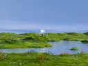 Een witte stoel op een grasrichel te midden van water en wilde bloemen in een surreal landschap.