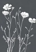 Lijntekening van witte veldbloemen op blauwe achtergrond