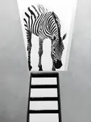 Zebra gezien van onderaf door lichtkoepel