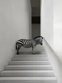 Trappen