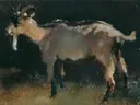 Ziege van Anton Schrodl: dieren met schapen