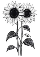 Lijntekening van twee zonnebloemen