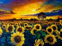 Zonnebloemenveld bij zonsondergang, schilderij van een zonnebloemenveld bij zonsondergang