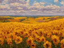 Schilderij van een zonnebloemenveld in een vallei
