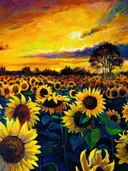 Zonnebloem