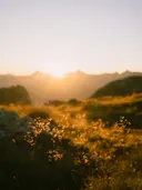 Zonsondergang achter bergtoppen met wuivende grassen op de voorgrond.