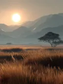 Schilderij van een zonsondergang boven de savanne met een eenzame boom