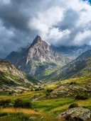Schilderij van een zonverlichte bergtop boven een bloemrijke alpenweide