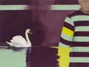 Zwaan en figuur in aubergine en mint, dieren schilderij