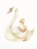 Illustratie van een zwaan met een eendje op haar rug, kinderkamer schilderij
