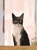 Portret van een zwart-witte kat met gele ogen tegen een pastelroze achtergrond.