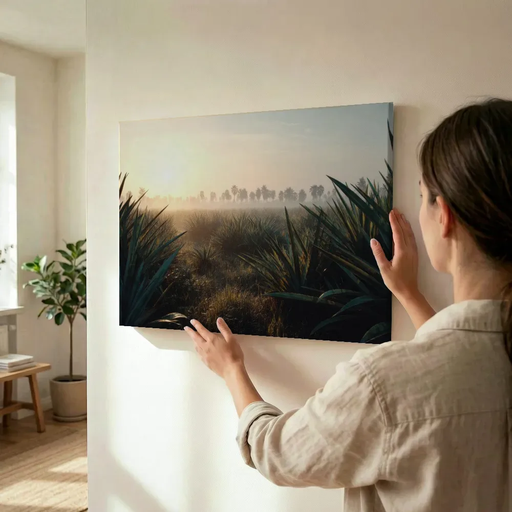 Sfeerimpressie: Agaveveld bij zonsopgang terwijl het wordt opgehangen