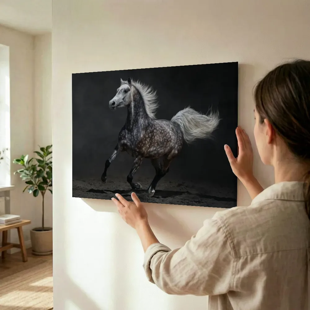 Sfeerimpressie: Appelschimmel in galop terwijl het omhoog wordt gehouden