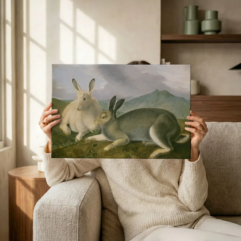 Sfeerimpressie: Arctic Hare, c. 1841 van John James Audubon terwijl het omhoog wordt gehouden