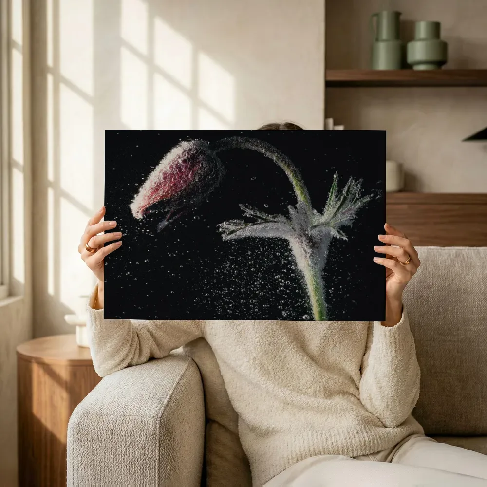 Sfeerimpressie: Bedauwde bloem in het duister terwijl het omhoog wordt gehouden