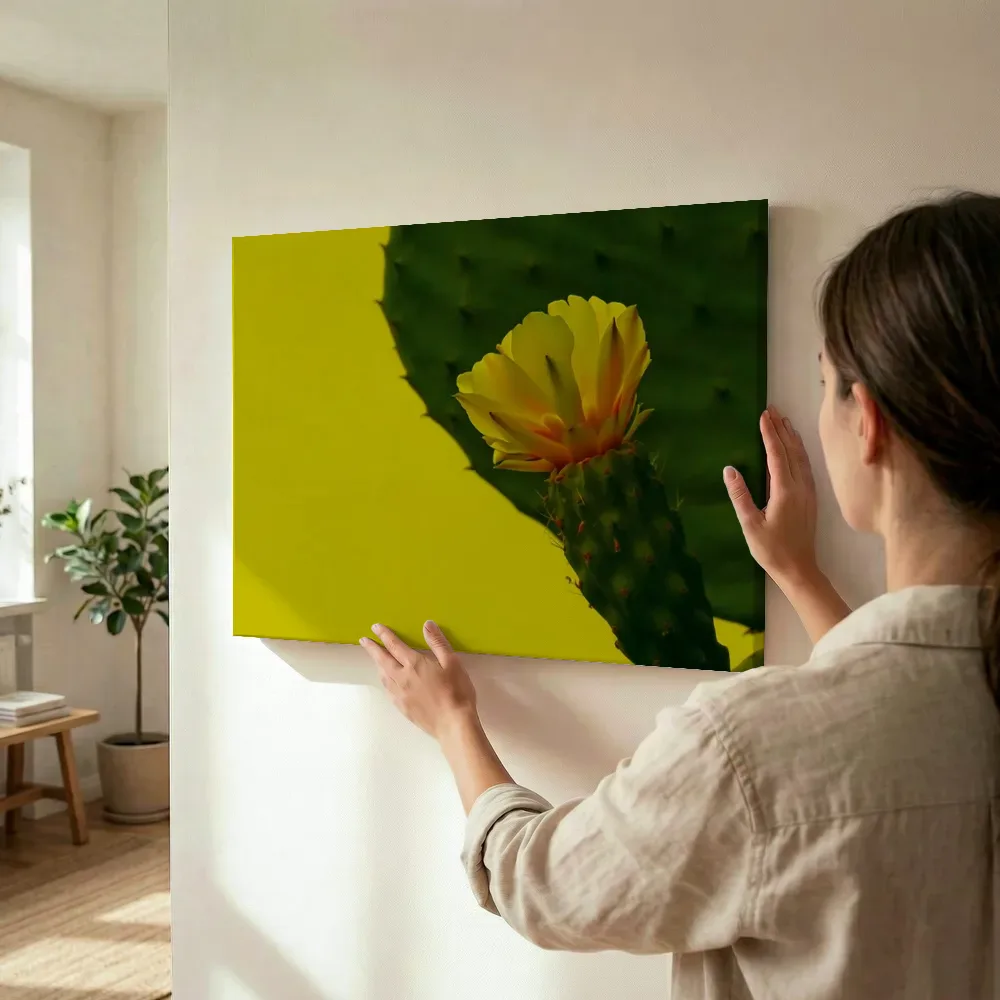 Sfeerimpressie: Bloeiende cactus met gele bloem terwijl het wordt opgehangen