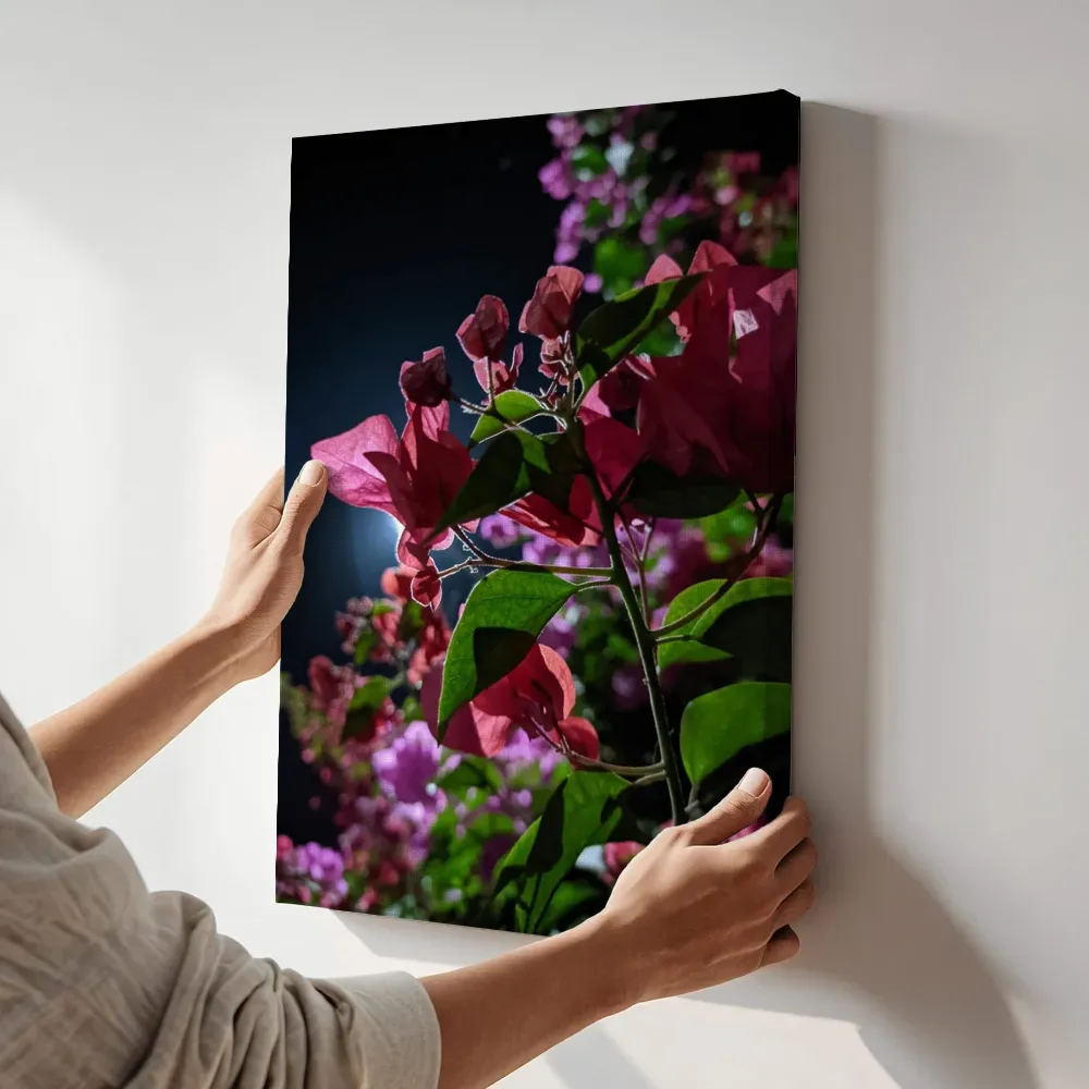Sfeerimpressie: Bougainville in het maanlicht terwijl het aan de muur wordt gehangen