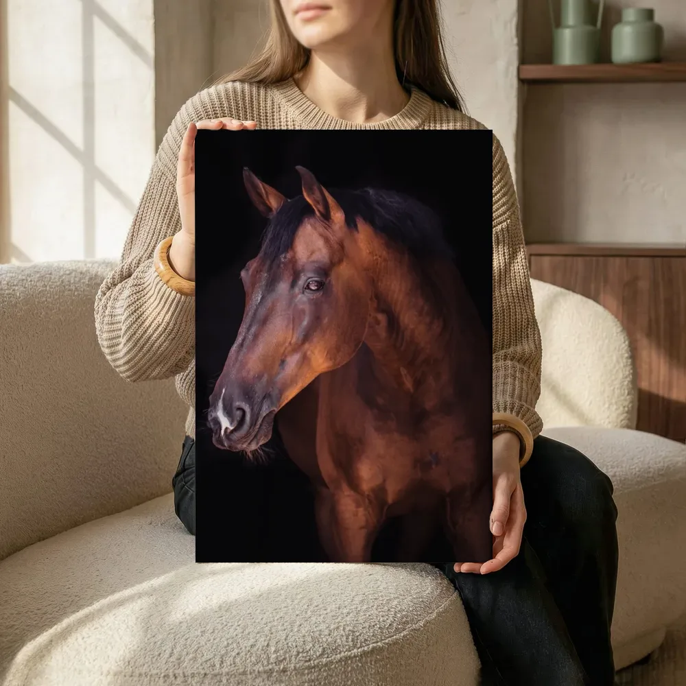 Sfeerimpressie: Bruin paard close-up terwijl het zittend wordt getoond