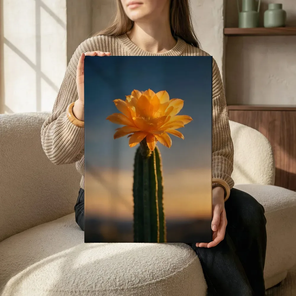 Sfeerimpressie: Cactus in de schemering 10 terwijl het zittend wordt getoond