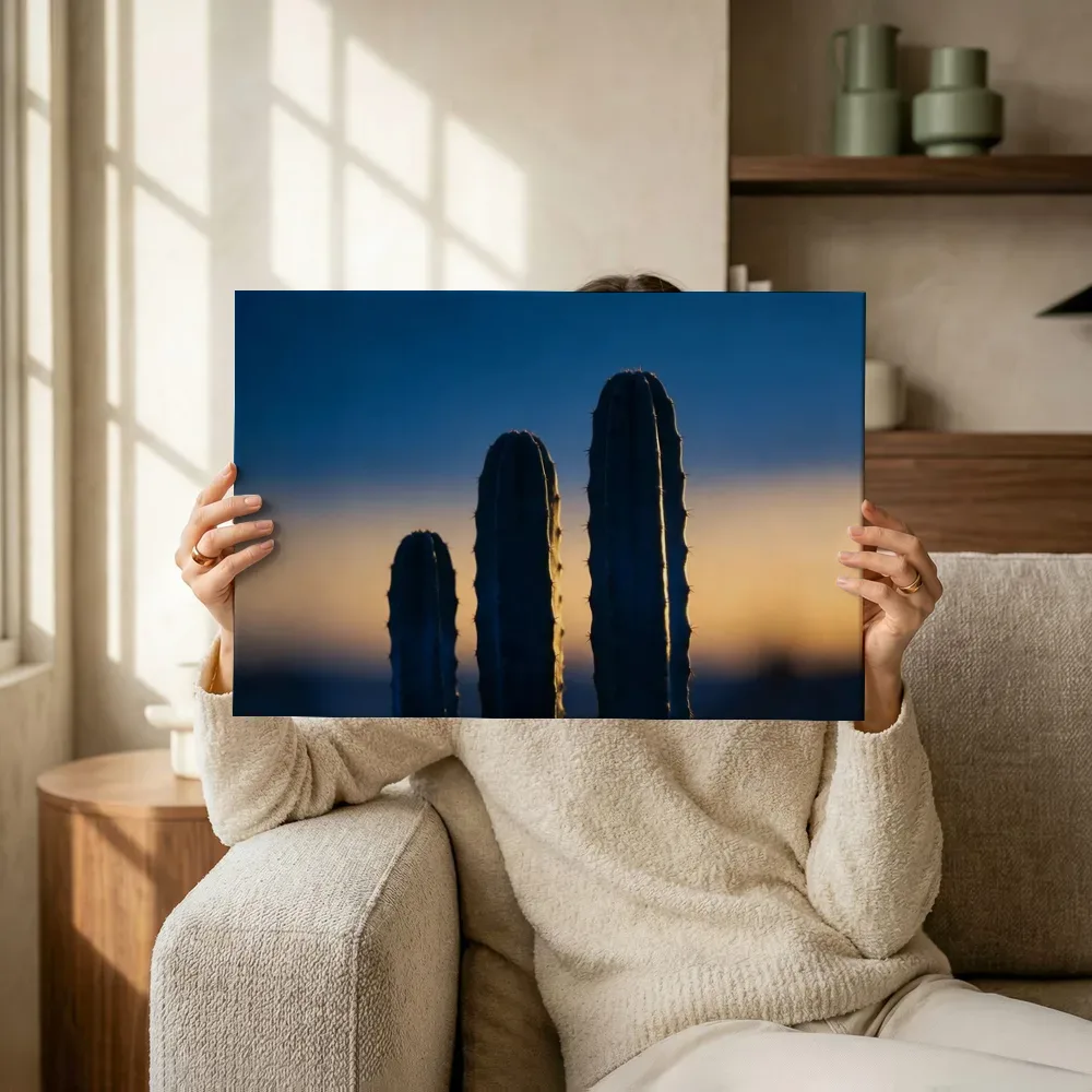 Sfeerimpressie: Cactus in de schemering 18 terwijl het omhoog wordt gehouden