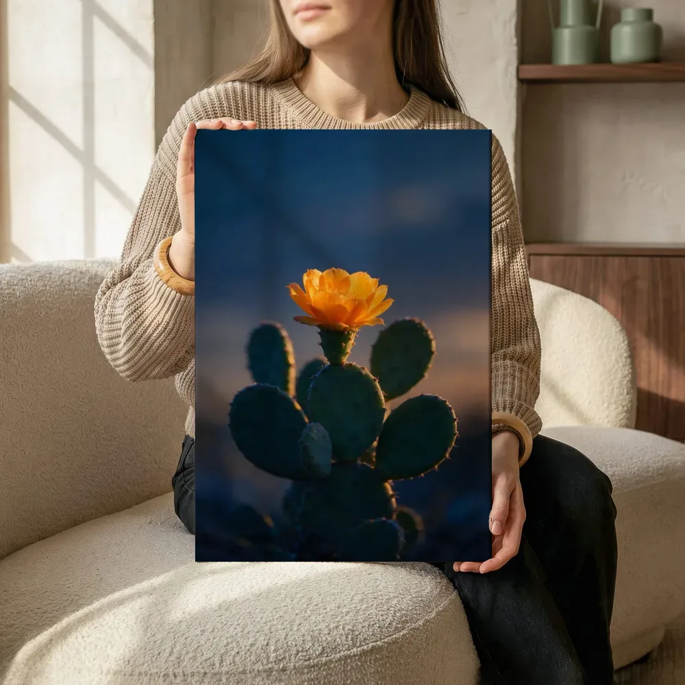 Sfeerimpressie: Cactus in de schemering 19 terwijl het zittend wordt getoond