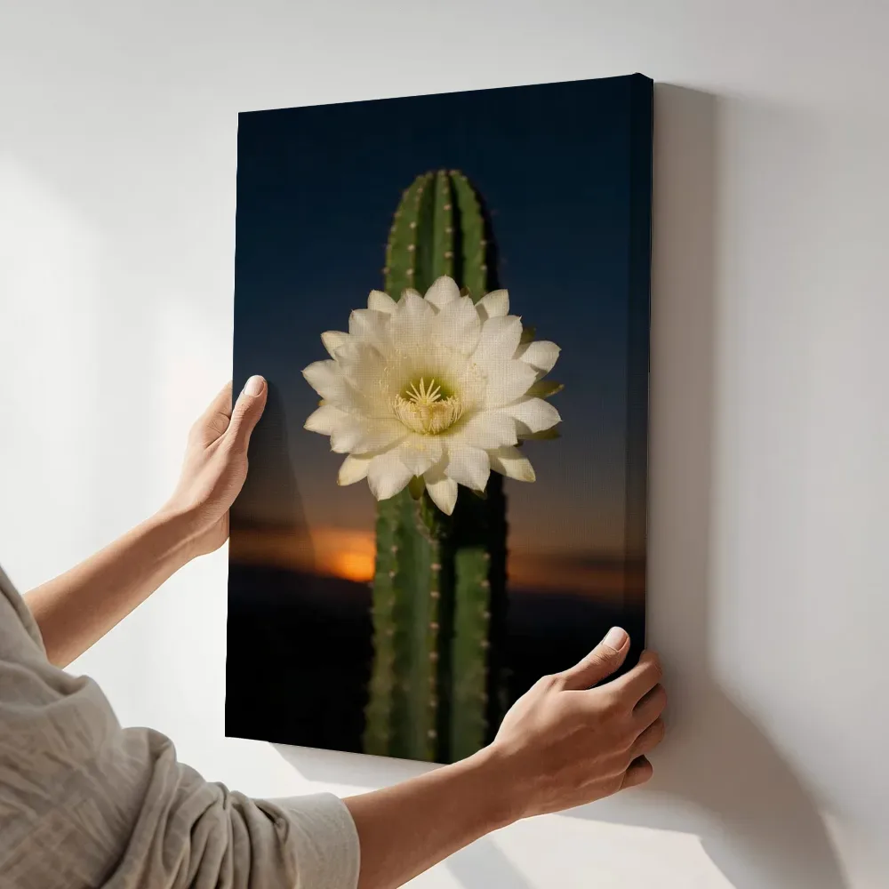 Sfeerimpressie: Cactus in de schemering terwijl het aan de muur wordt gehangen