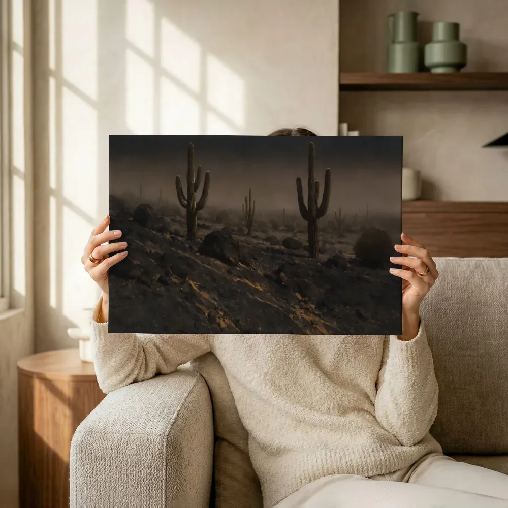 Sfeerimpressie: Cactussen op steengrond in sluierlicht terwijl het omhoog wordt gehouden