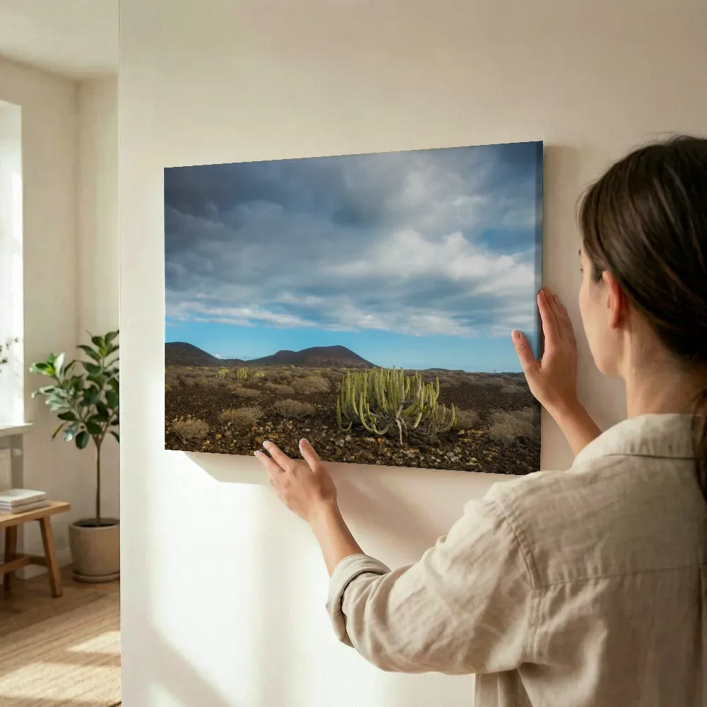 Sfeerimpressie: Cactussen in vulkanisch landschap terwijl het wordt opgehangen