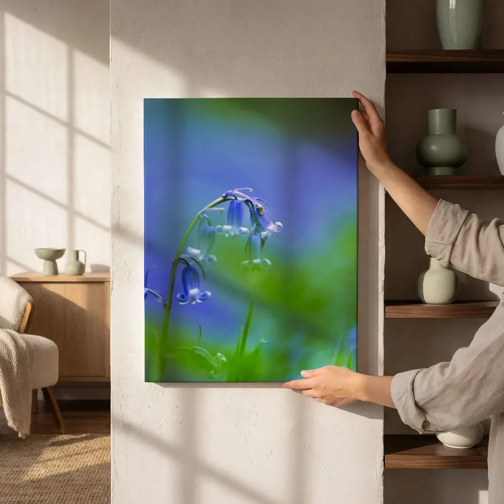 Sfeerimpressie: Close-up van een blauwe boshyacint naast de kast