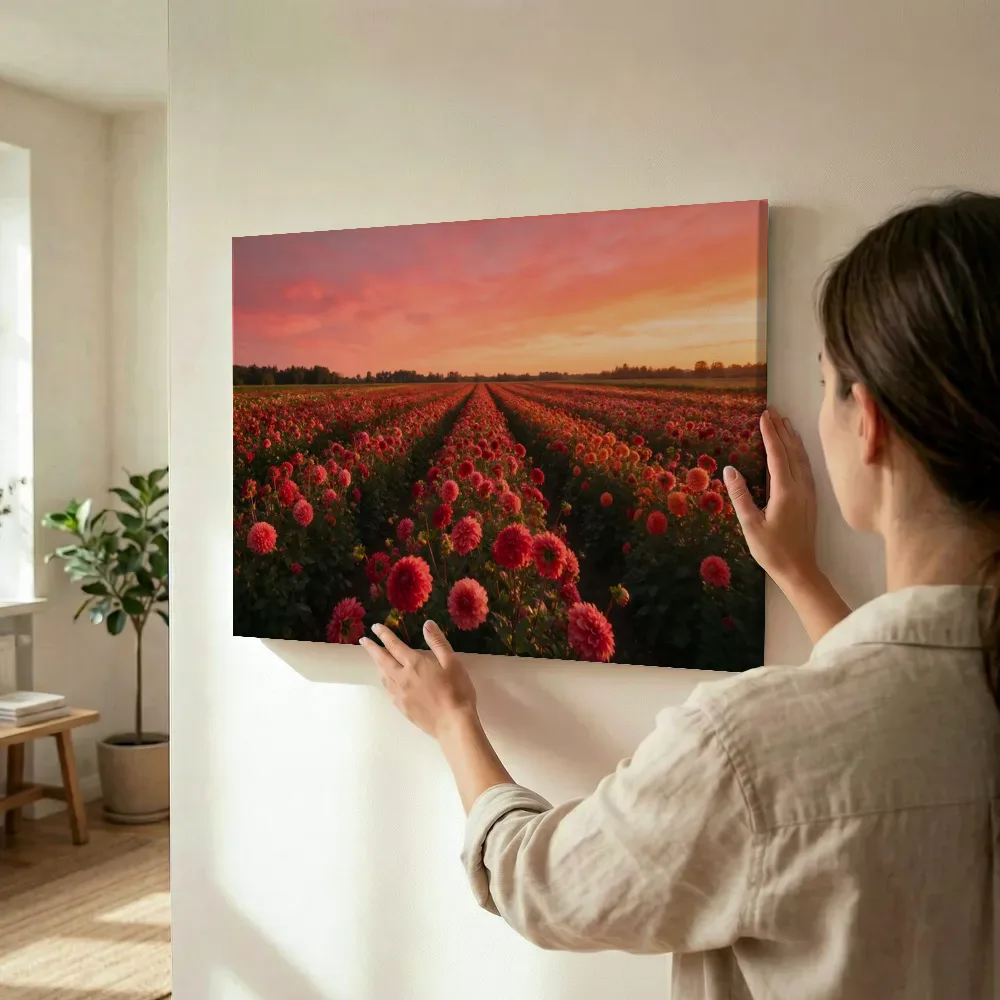 Sfeerimpressie: Dahlia bij de zonsondergang 8 terwijl het wordt opgehangen