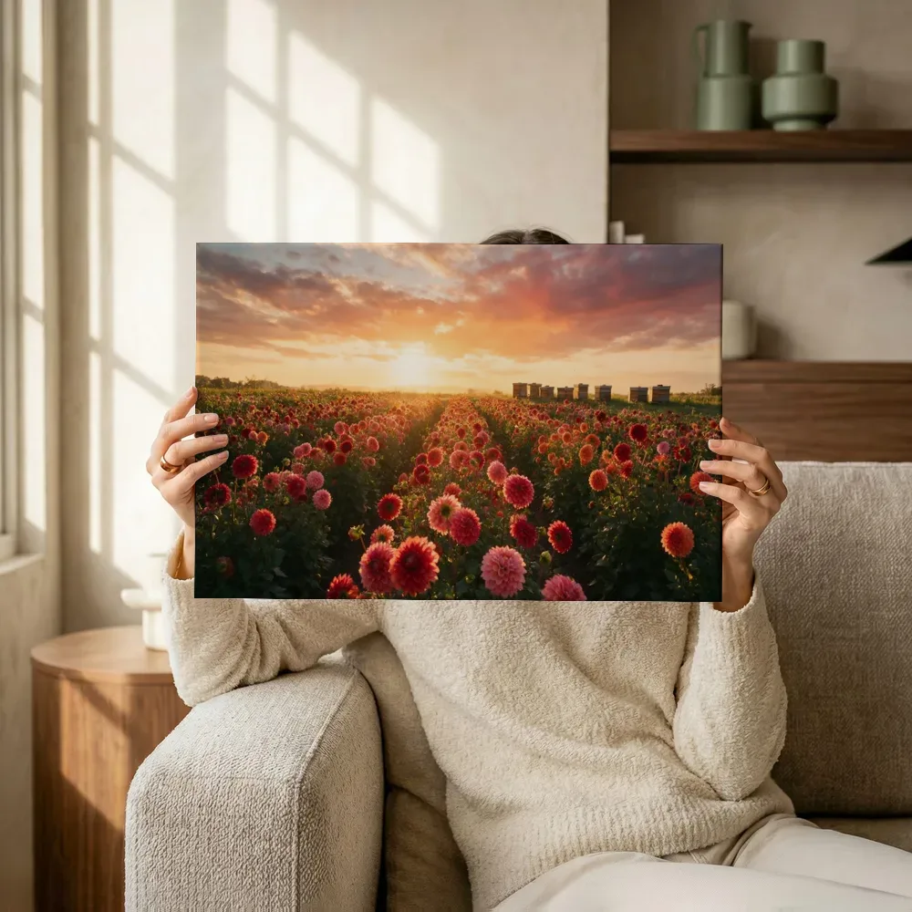 Sfeerimpressie: Dahlia bij het gouden uur terwijl het omhoog wordt gehouden