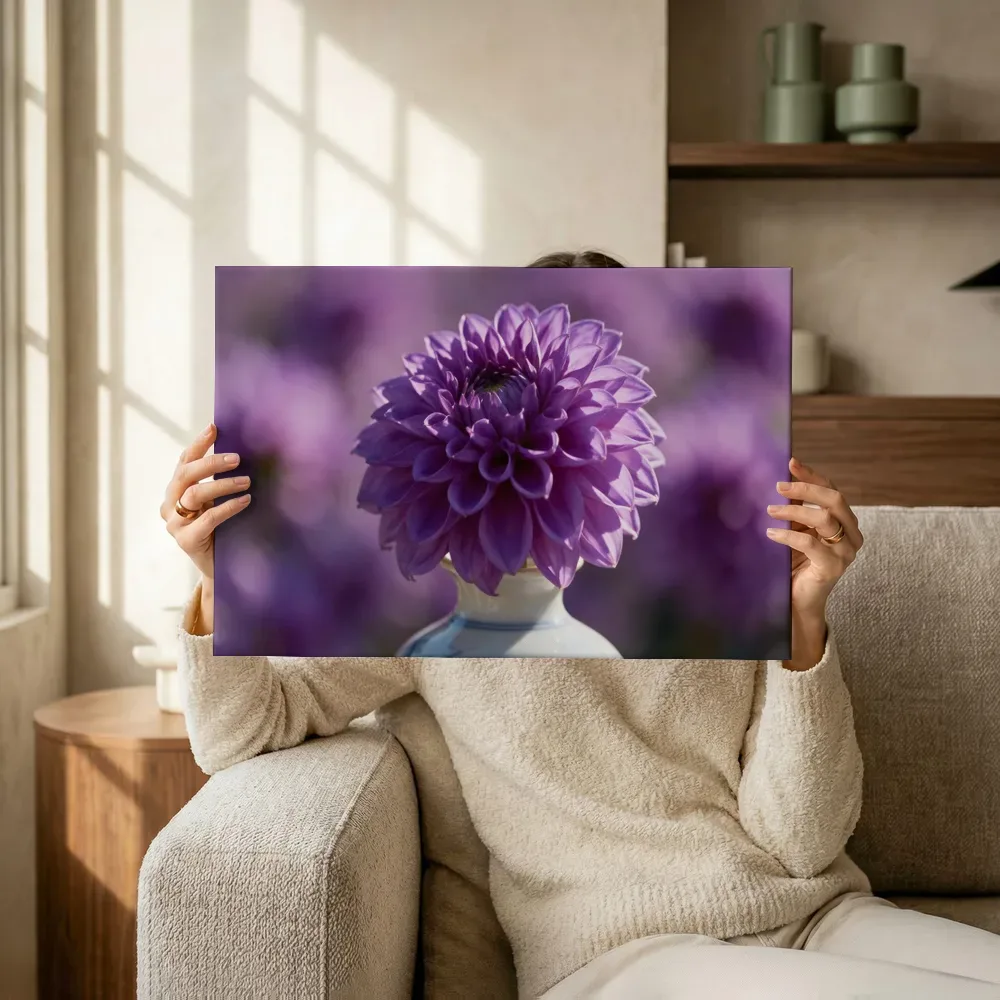 Sfeerimpressie: Dahlia in volle zon, paars 2 terwijl het omhoog wordt gehouden