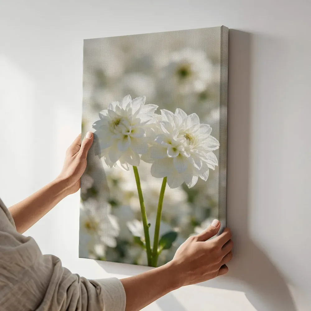 Sfeerimpressie: Dahlia in volle zon, wit 3 terwijl het aan de muur wordt gehangen