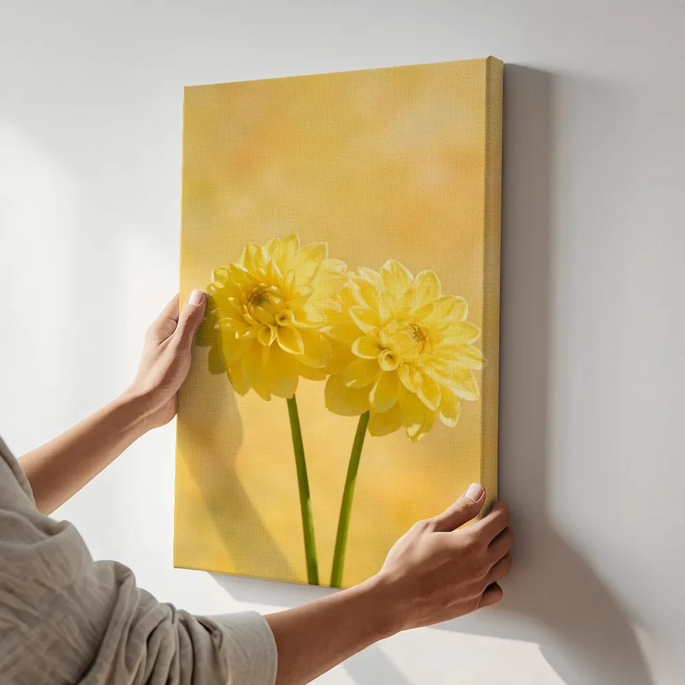 Sfeerimpressie: Dahlia in volle zon, zonnegeel terwijl het aan de muur wordt gehangen