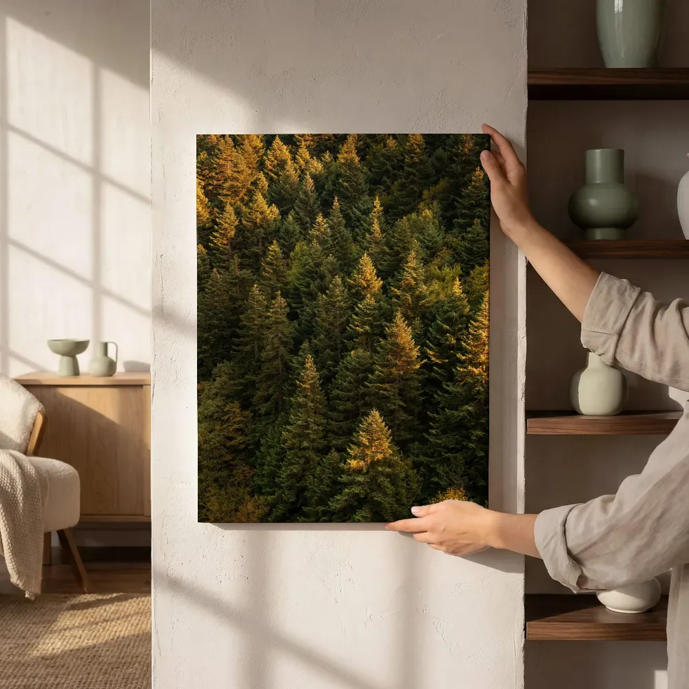 Sfeerimpressie: Dennenbos van bovenaf naast de kast