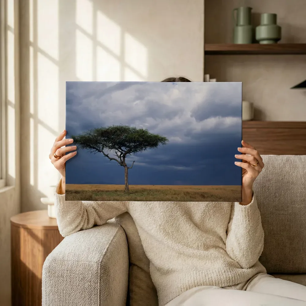 Sfeerimpressie: Eenzame acacia onder een stormlucht terwijl het omhoog wordt gehouden
