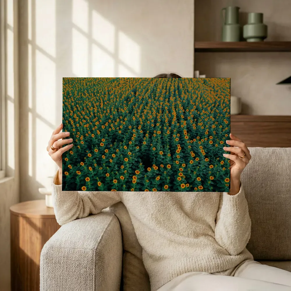 Sfeerimpressie: Eindeloos veld vol zonnebloemen terwijl het omhoog wordt gehouden