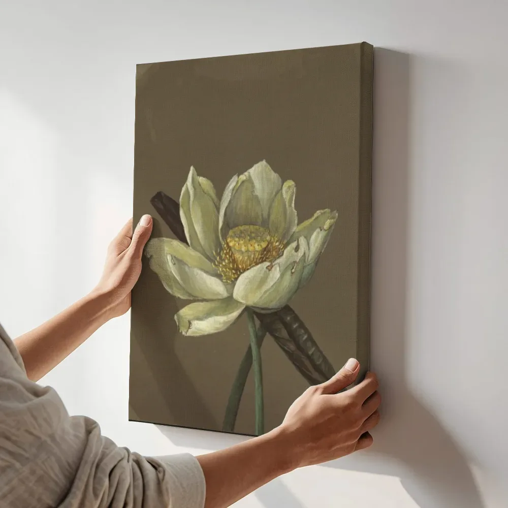 Sfeerimpressie: Emma Roberts Nelumbo Great Yellow 1885 van een onbekende meester terwijl het aan de muur wordt gehangen
