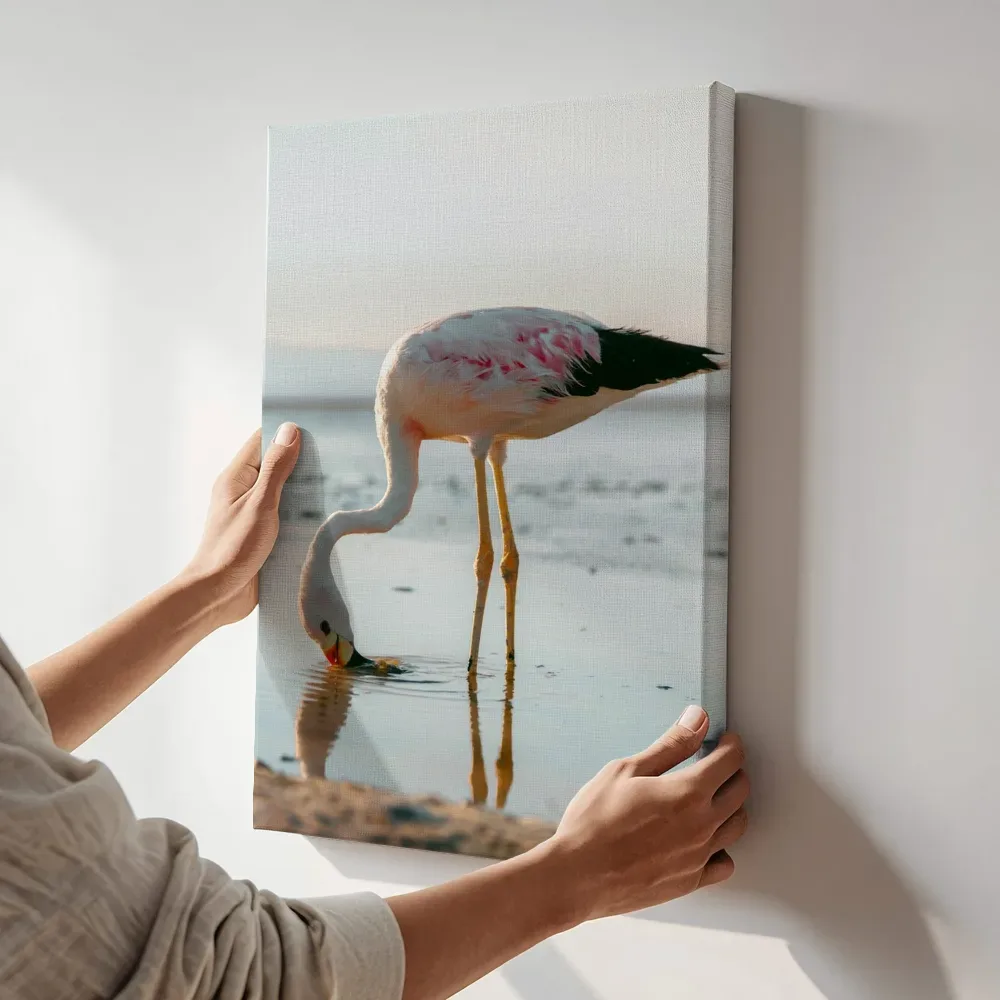 Sfeerimpressie: Flamingo drinkend aan de waterkant terwijl het aan de muur wordt gehangen