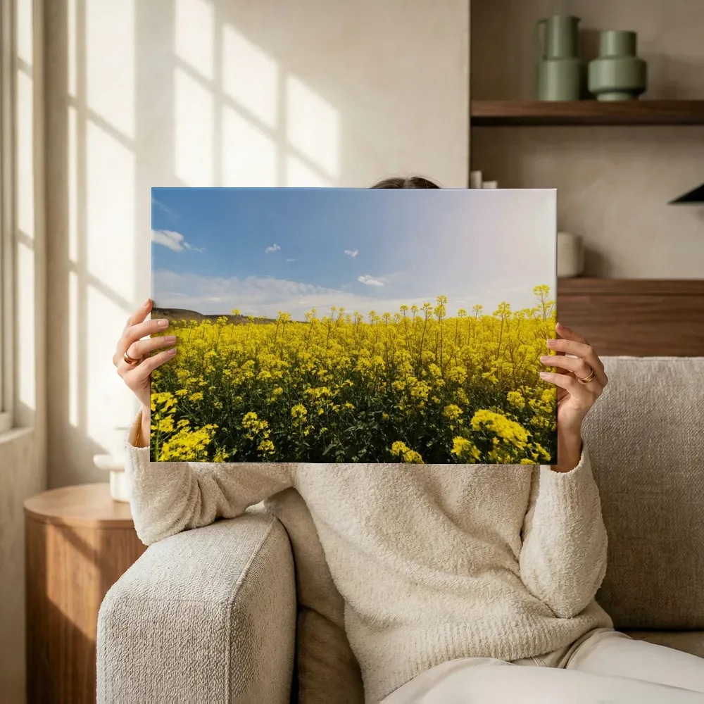 Sfeerimpressie: Uitgestrekt geel koolzaadveld in de zon terwijl het omhoog wordt gehouden