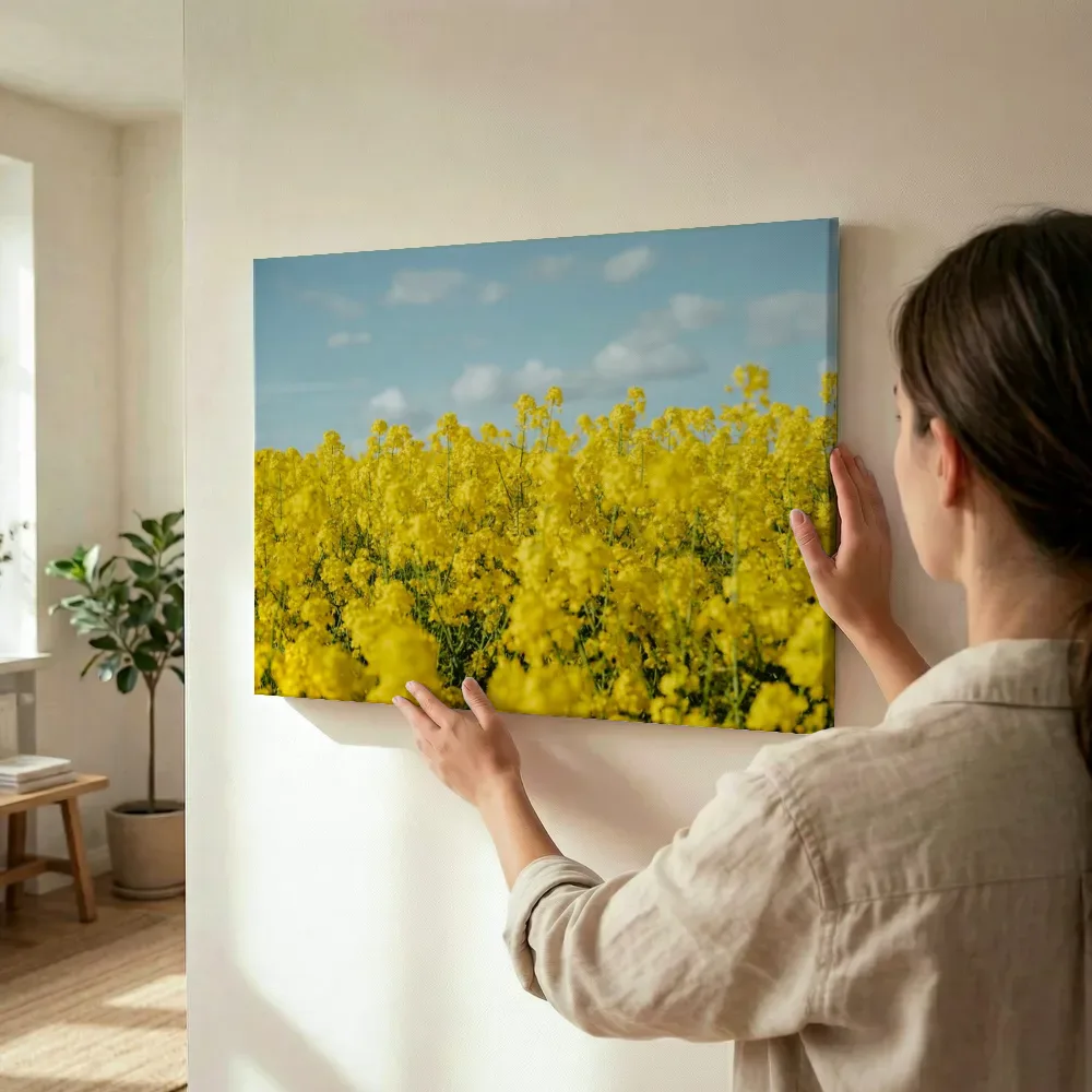 Sfeerimpressie: Geel koolzaadveld onder blauwe lucht terwijl het wordt opgehangen