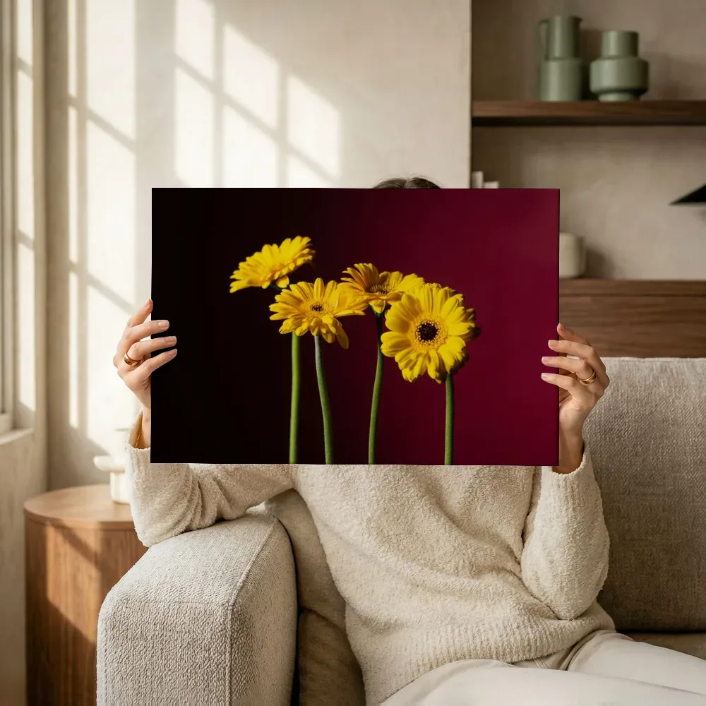 Sfeerimpressie: Gele gerbera's tegen dieprode achtergrond terwijl het omhoog wordt gehouden